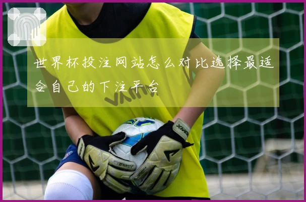 世界杯投注网站怎么对比选择最适合自己的下注平台
