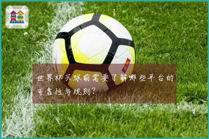 世界杯买球前需要了解哪些平台的可靠性与规则？