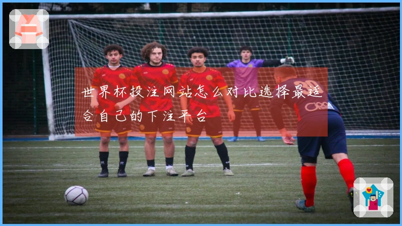 世界杯投注网站怎么对比选择最适合自己的下注平台